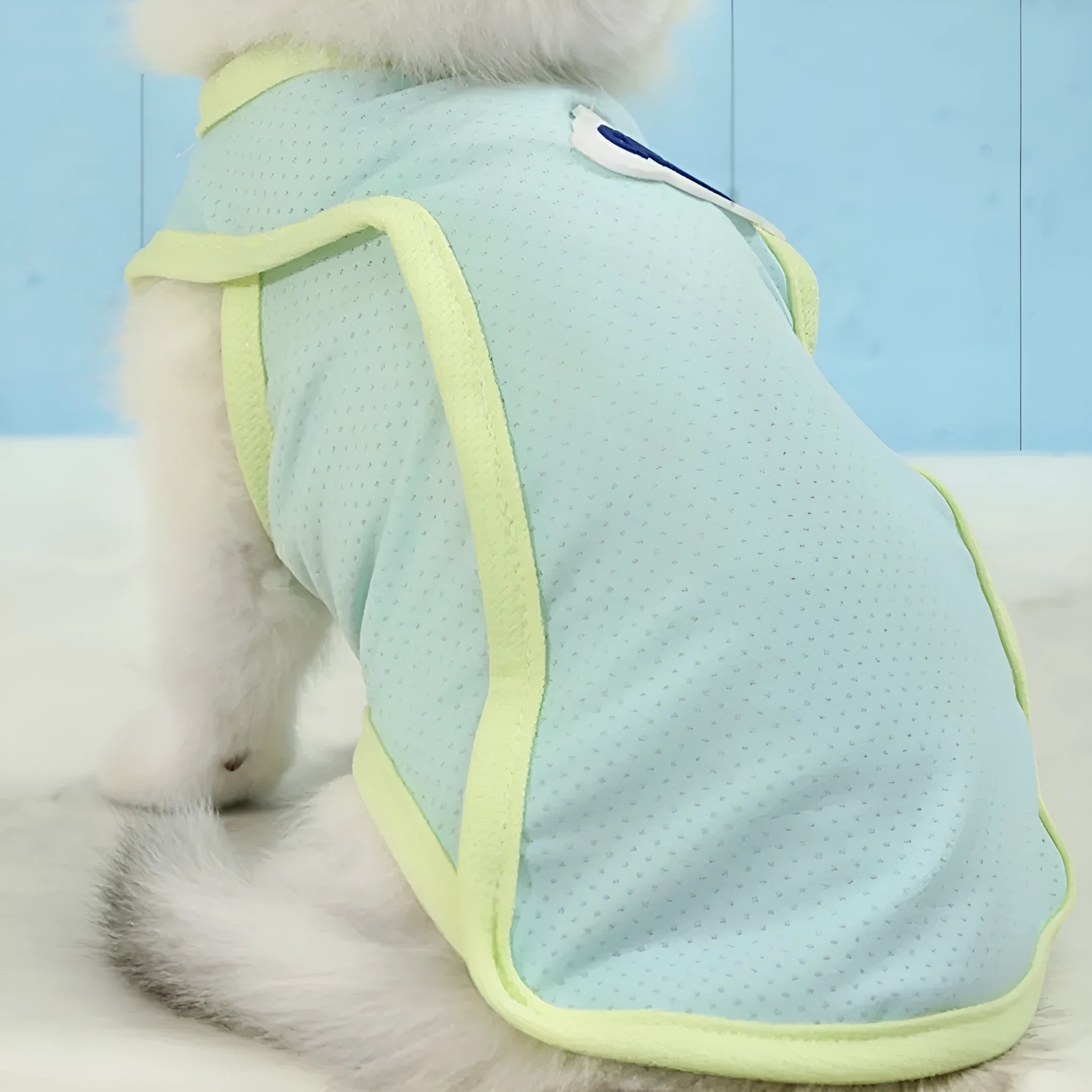 Grass green anti-lint summer vest for a cat on a white background