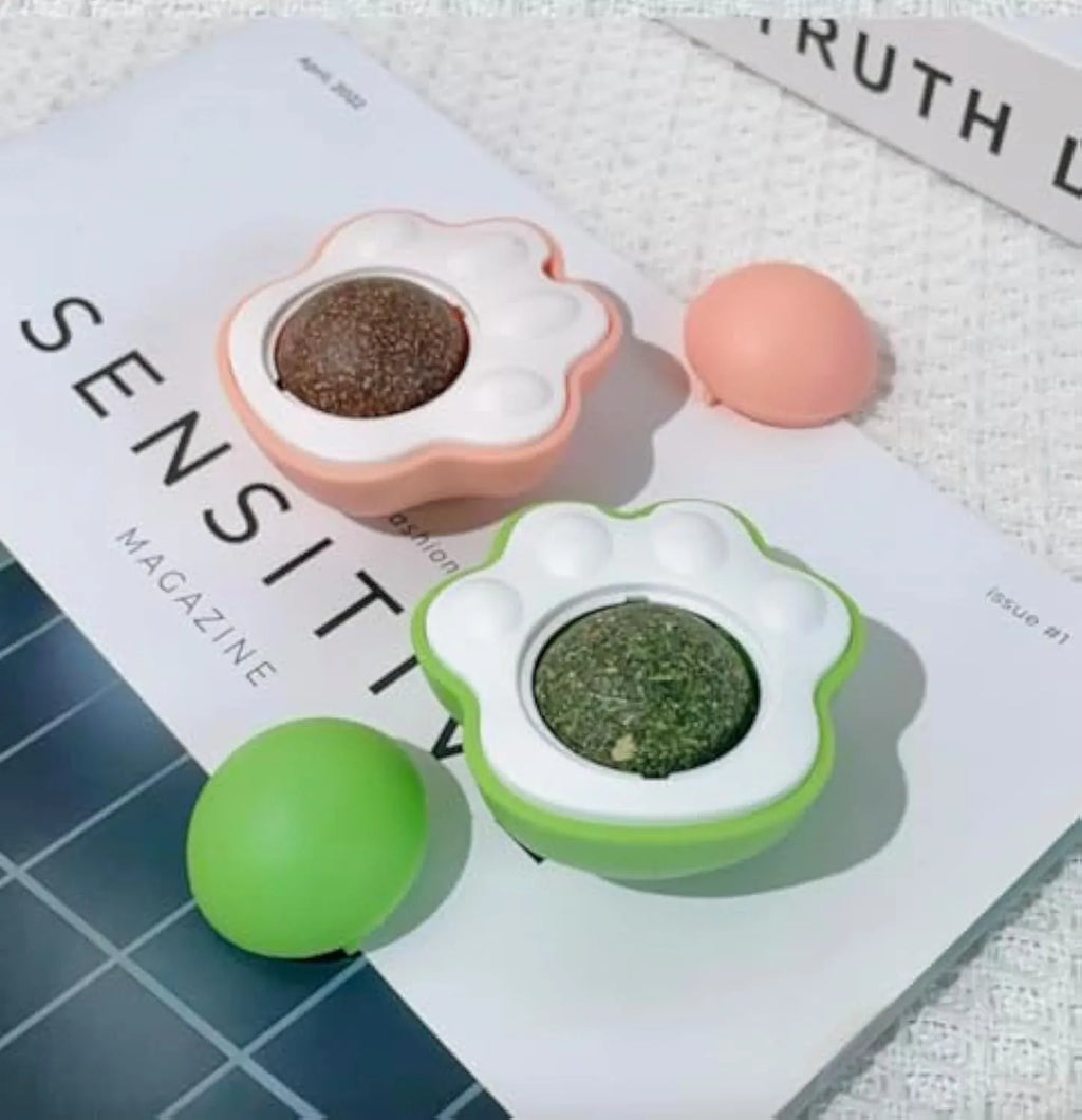 Four coloured catnip balls with edible vine coating for dental health chew toys