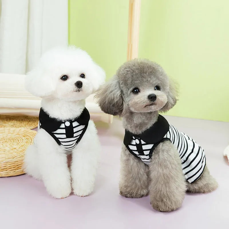 Pet wearing coordinated cotton T-shirt and skirt set with stripe pattern