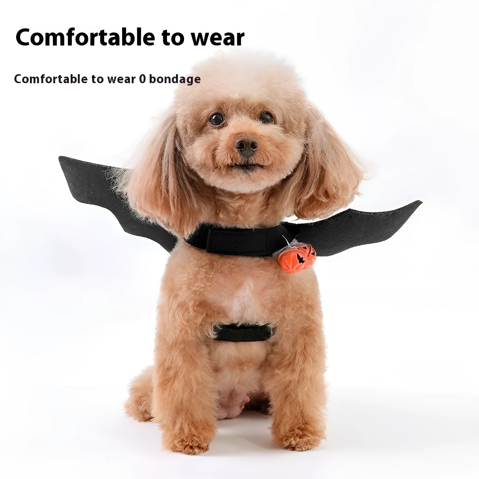 Halloween pet costume set with black wings and bell accessory in felt polyester construction