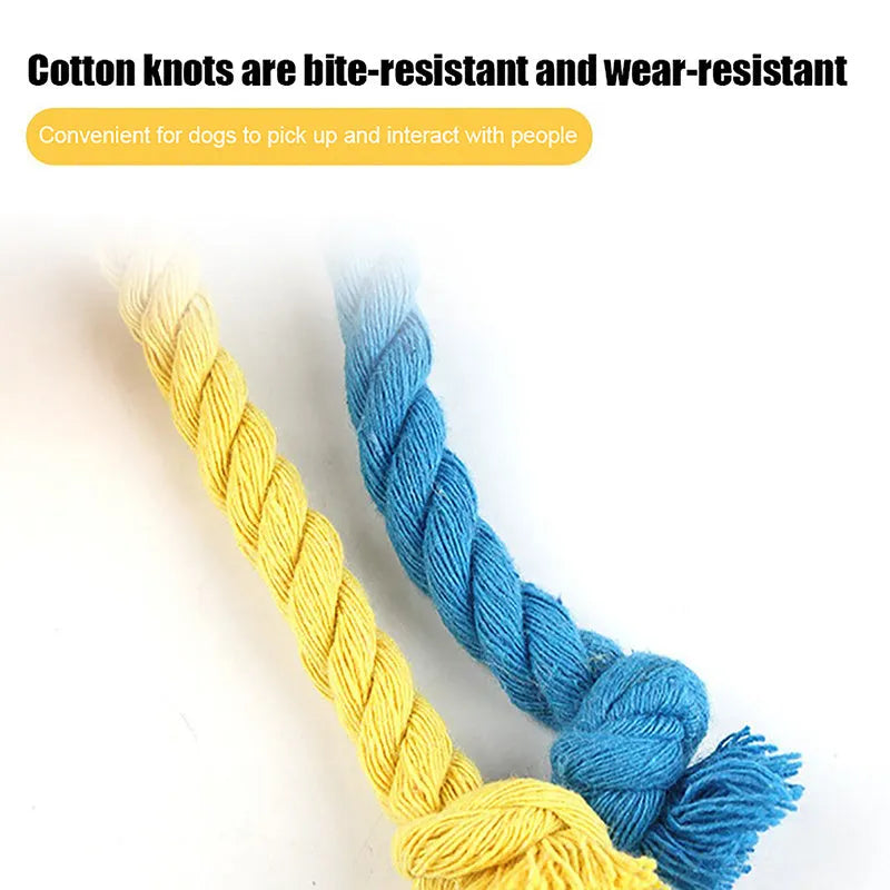 Blue and yellow elastic football dog toy with cartoon design for tug of war and teeth grinding
