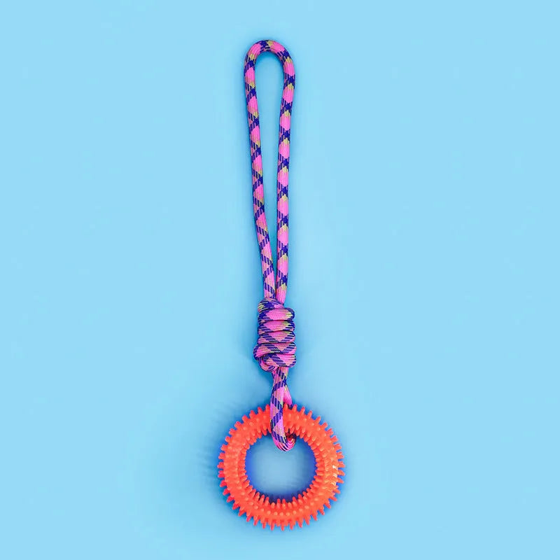 Colourful blue braided rope dog toy with multiple knots, shown on a plain background.