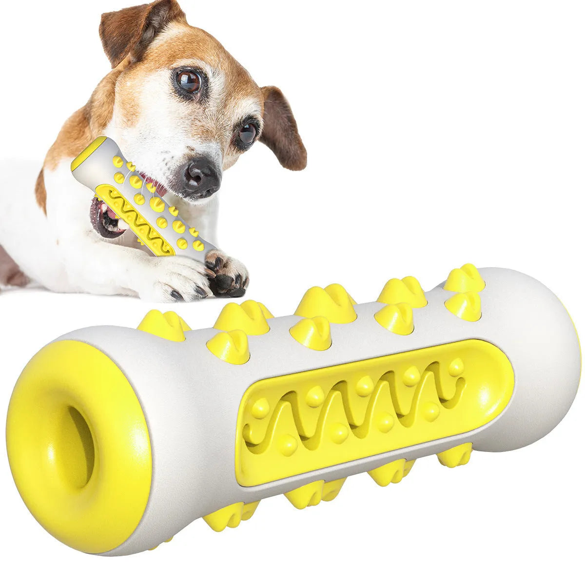Natural rubber dog toothbrush chew toy in four colours: black/blue, blue, green, and yellow
