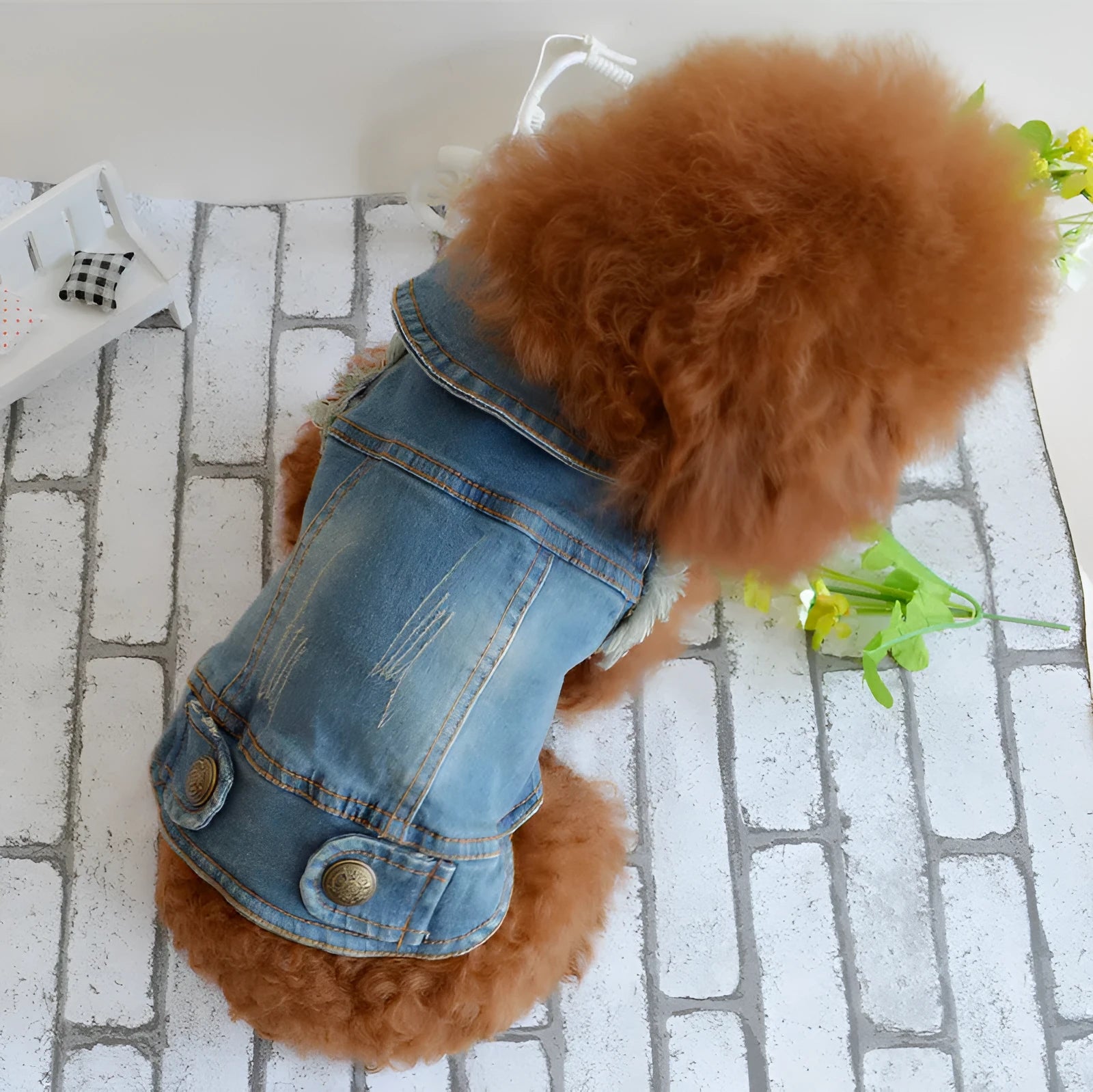 Blue denim dog vest with a retro scratch pattern on a small white dog.