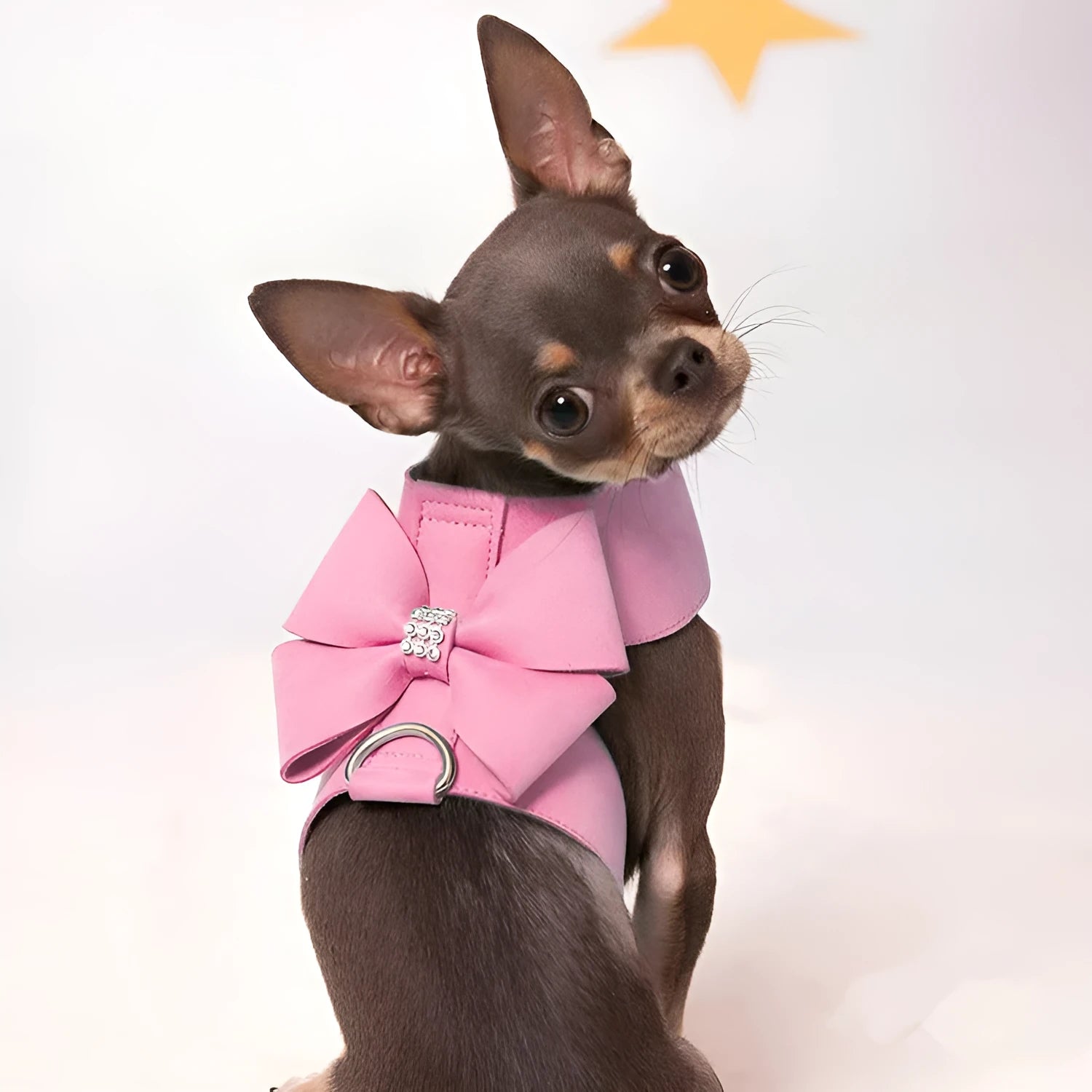 Cute fashion bowknot puppy chest strap in microfiber available in pink, blue and orange colours
