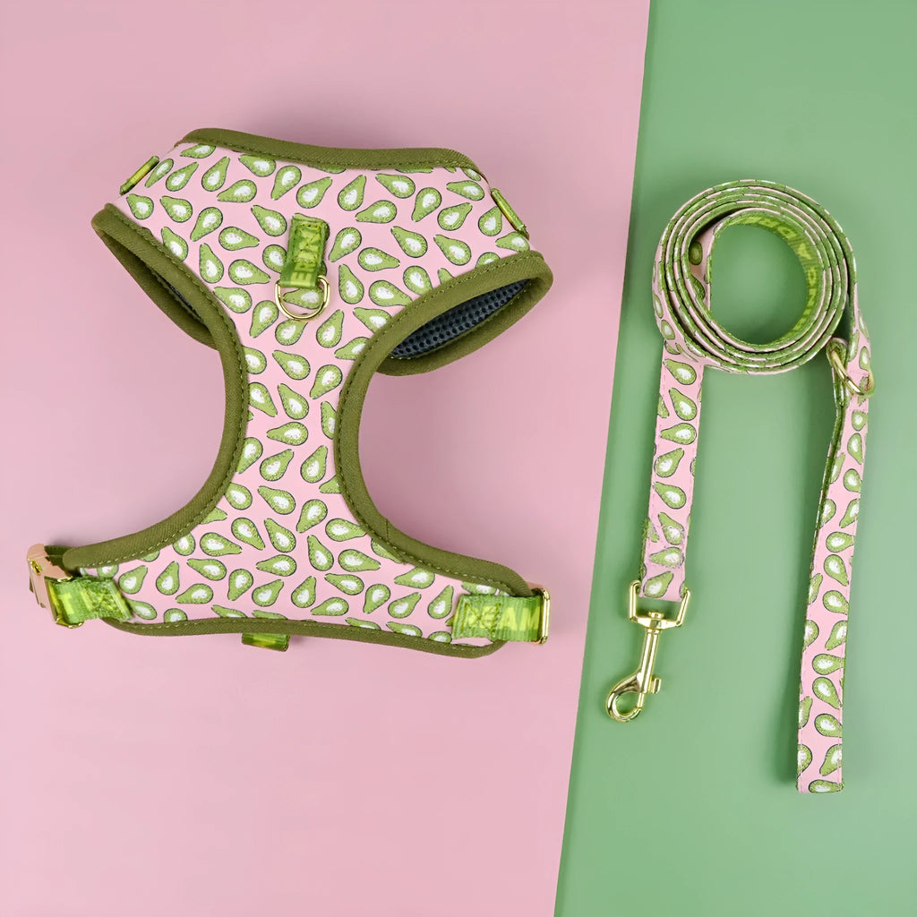 Polyester chest-back haulage rope for medium large dogs in six colour options