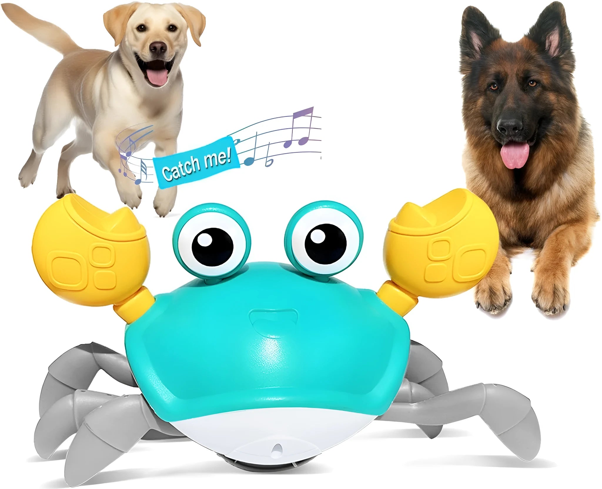 Red or blue ABS plastic crawling crab dog toy with lights, shown on a floor.