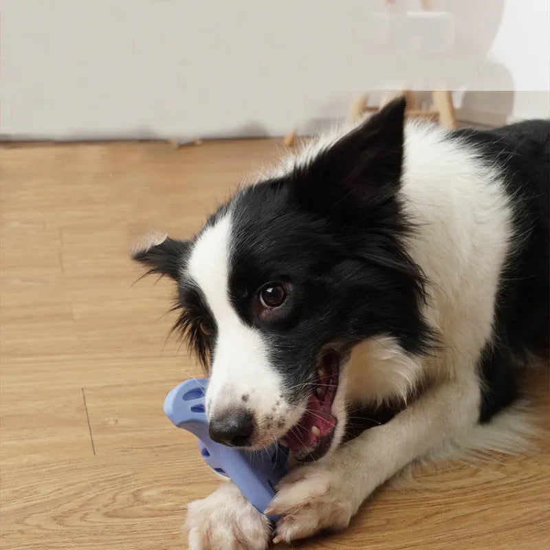 Blue boomerang molar shaped dog chew toy with raised dental cleaning edges
