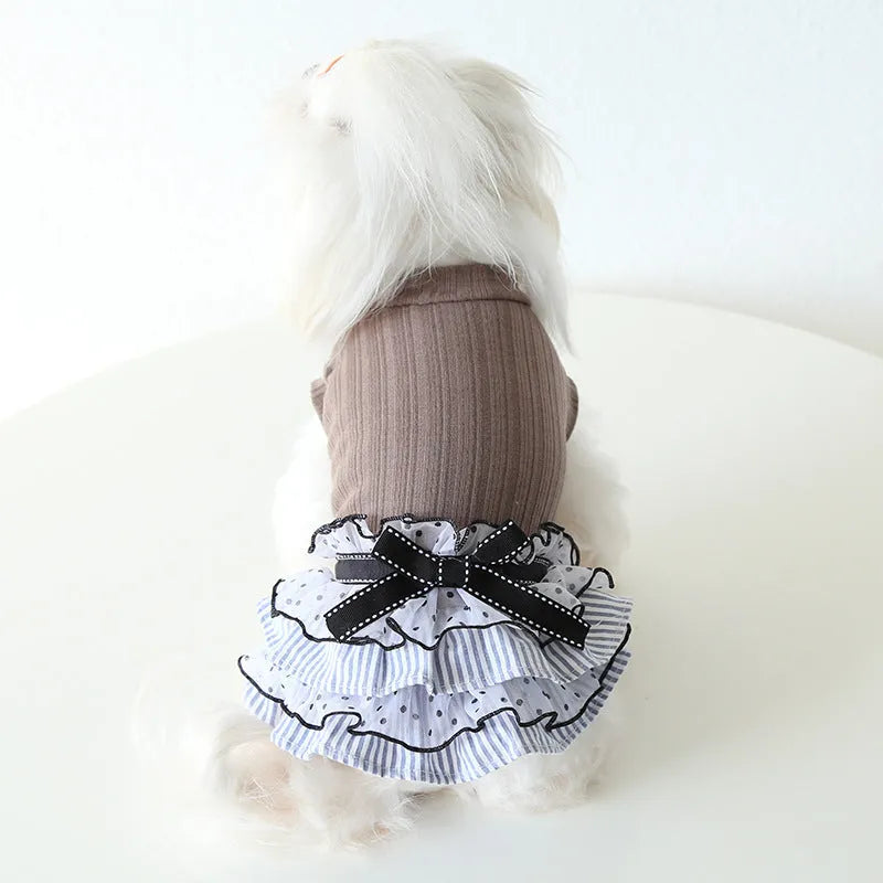 Polka dot lace cake dress pet clothes in taro purple on a small dog, princess style with lace detailing