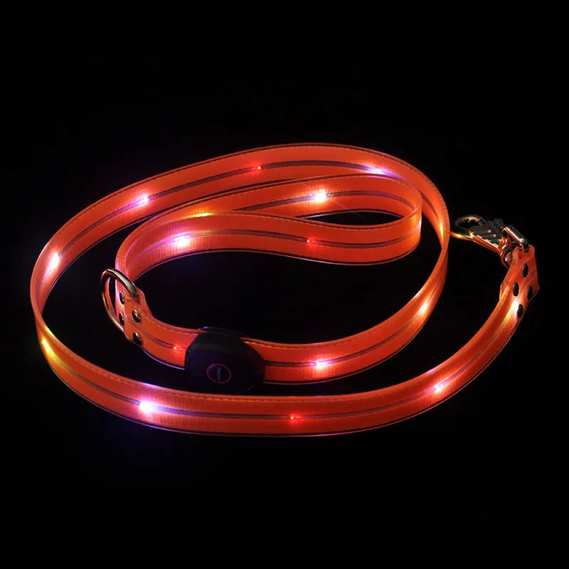 Bright orange luminous PVC dog lead and adjustable collar set shown coiled, 120cm long.