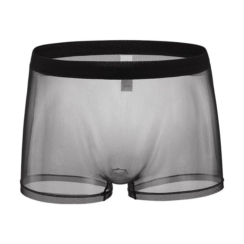 Men's low-waist mesh boxer briefs in thin sheer fabric, shown in multiple colours.