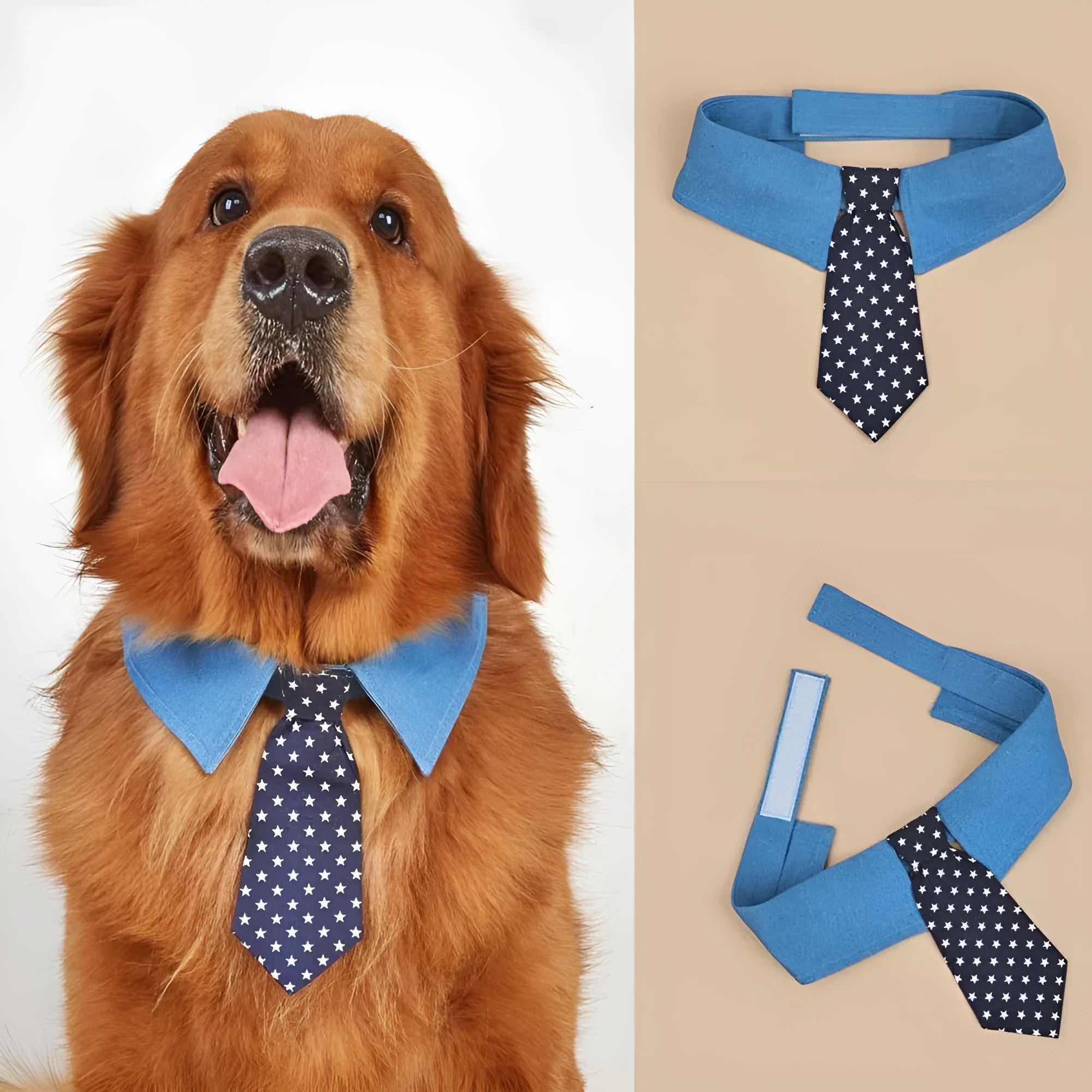 Blue denim dog collar with a star-patterned black bow tie, shown on a mannequin.