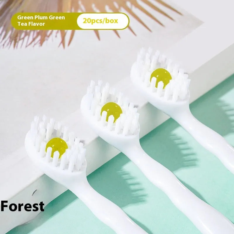 Box of disposable bead toothbrushes in mint, peach, plum green tea, and mixed flavours for travel oral care.