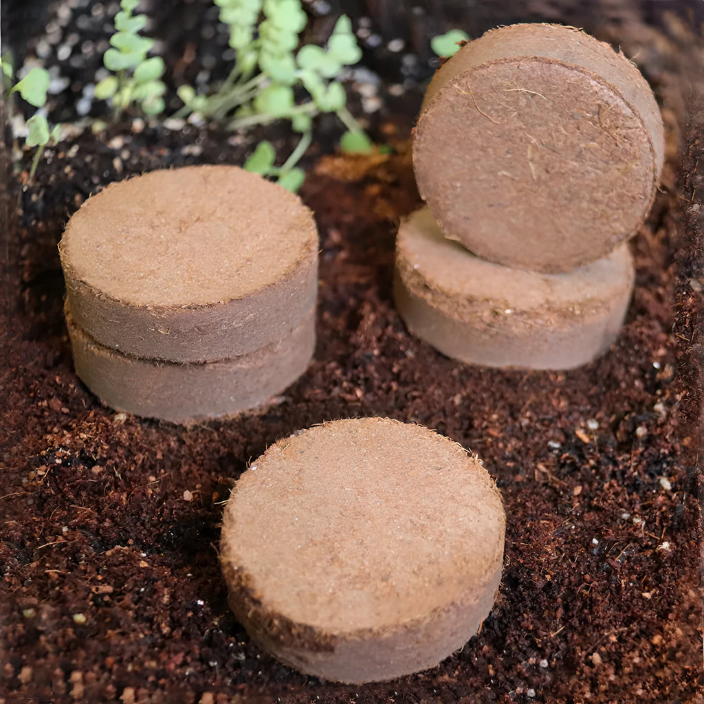 Compressed nutrient soil blocks for vegetable planting with various size specifications displayed