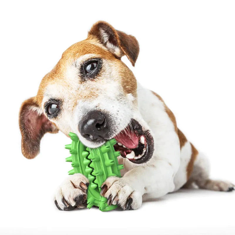 Green cactus-shaped dog toothbrush chew toy for medium to large breed dental cleaning