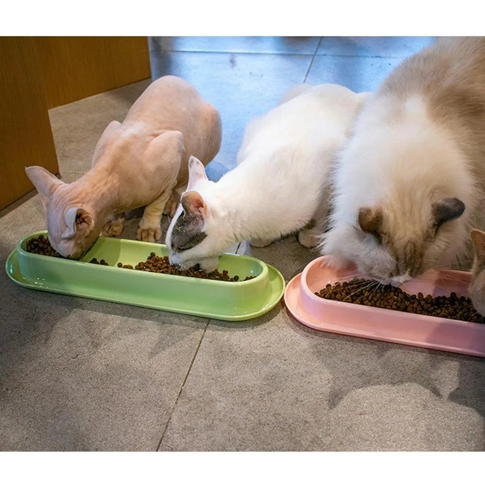 Green leakproof pet bowl set with non-slip rubber base for cats and dogs