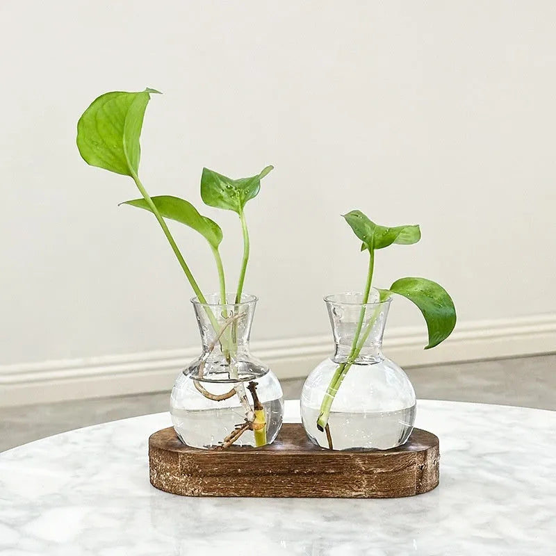Transparent hydroponic vase in a wooden frame for modern plant display.