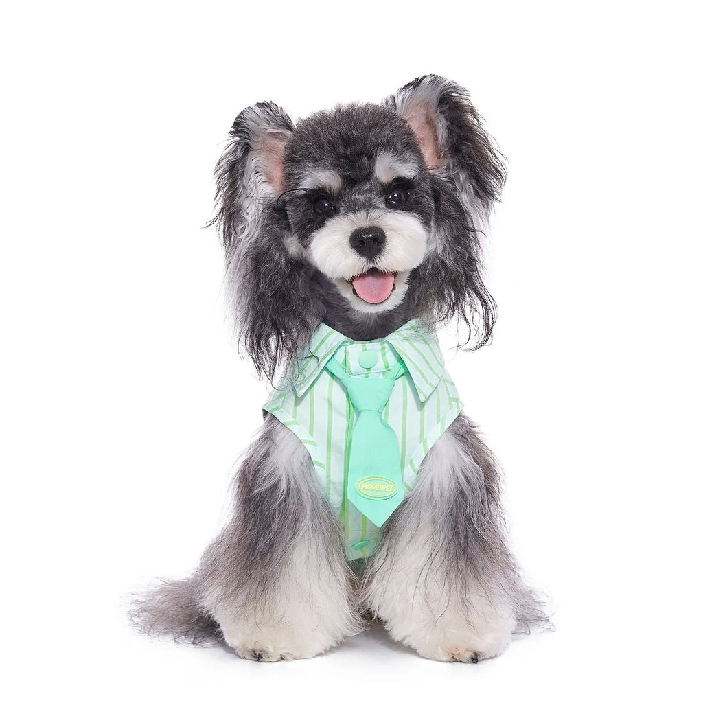 Green thin cotton pet shirt for Teddy Schnauzer, casual dog clothing, multiple sizes available