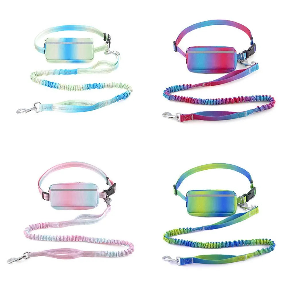 Hands-free adjustable dog leash with reflective traction rope and waist belt in blue