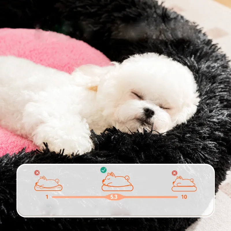 Blue plush kennel sleeping mat for small dog with raised edges, shown on a wooden floor.