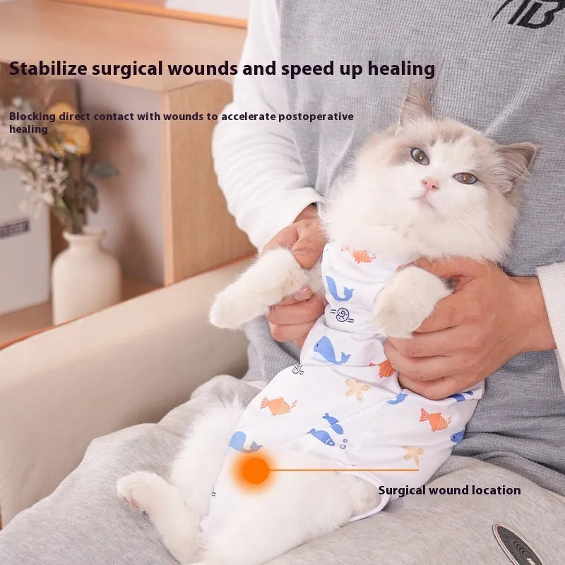 Cat wearing a patterned polyester recovery suit with Velcro fastenings after sterilisation surgery.