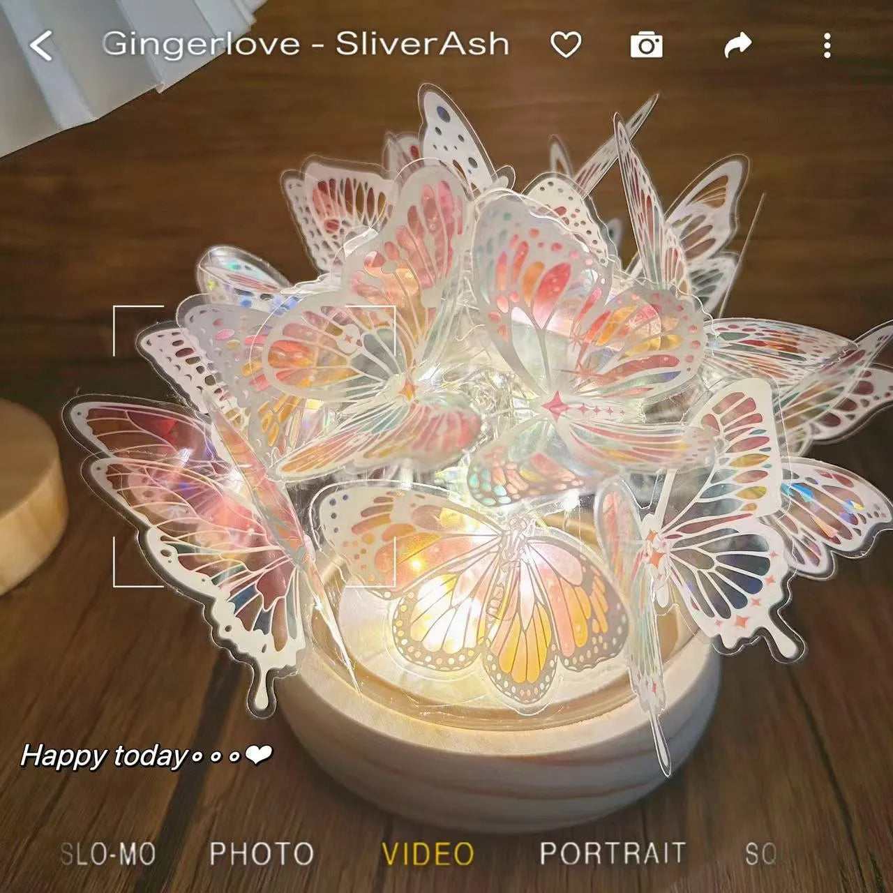 Butterfly-shaped night lamp with glass lampshade on raw wood base