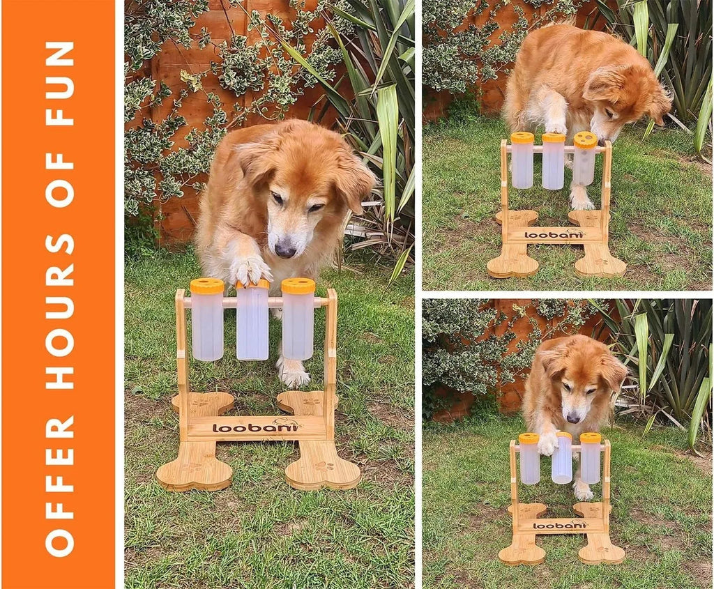 Wooden dog puzzle toy snack dispenser feeder measuring 31x30x20cm in natural wood colour