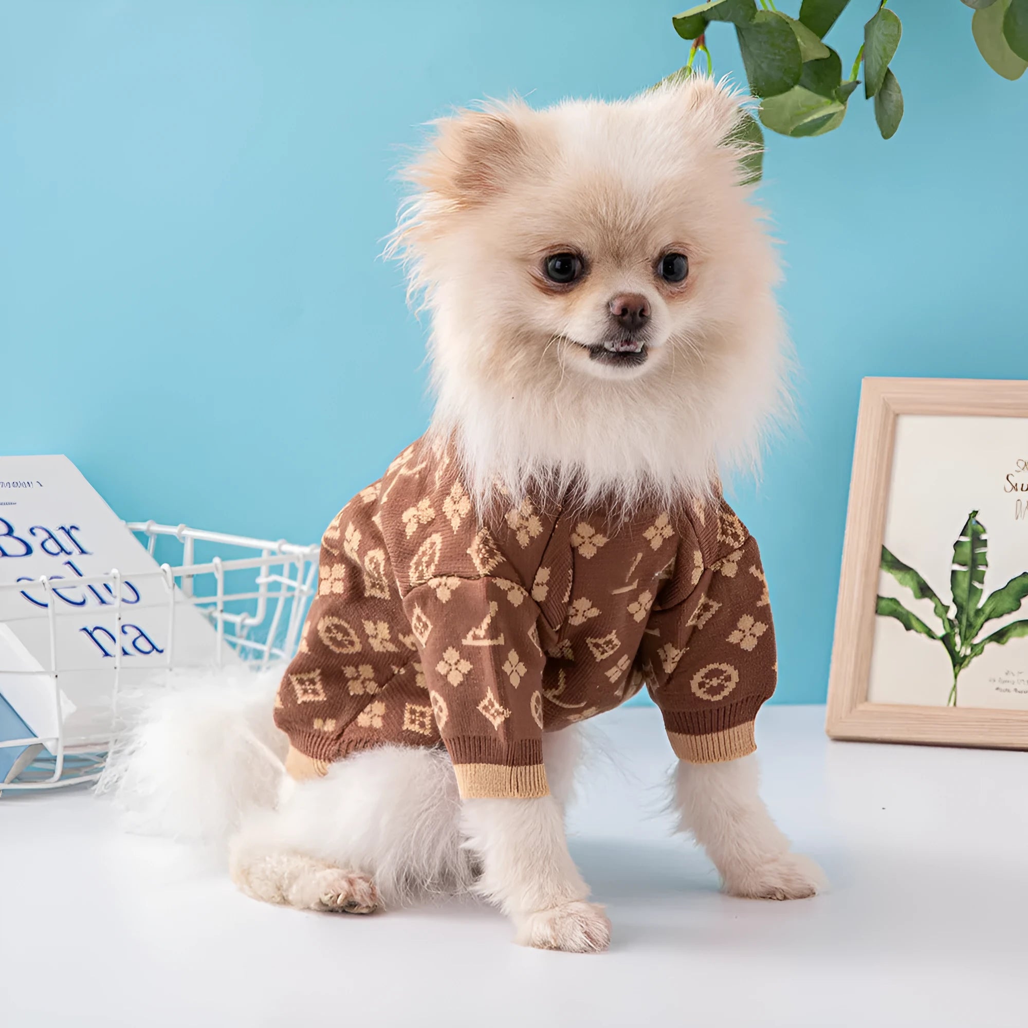 Wool dog sweater in European and American style for autumn and winter wear