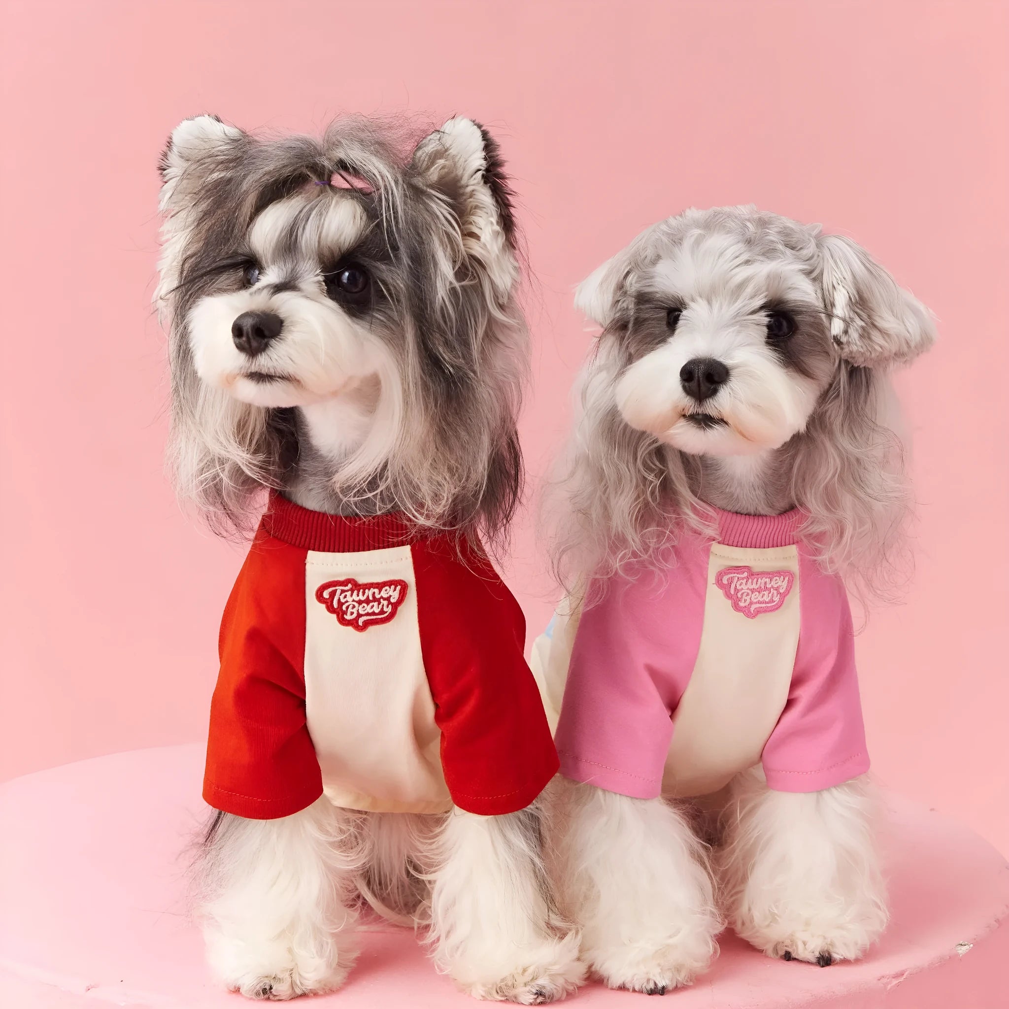 Cotton dog summer clothes with contrast colour detailing in embroidered red colour