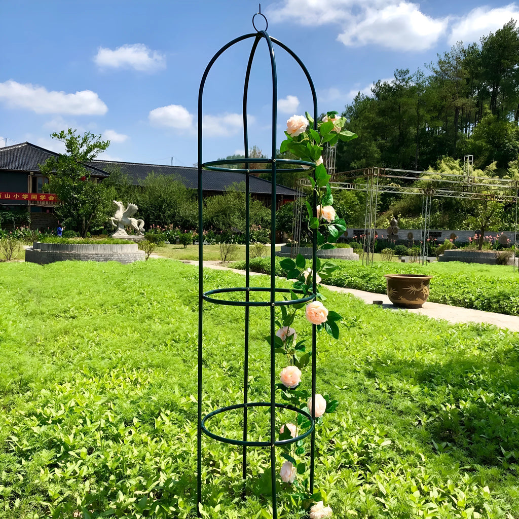 Dark green wrought iron climbing plant frame with grid lattice design