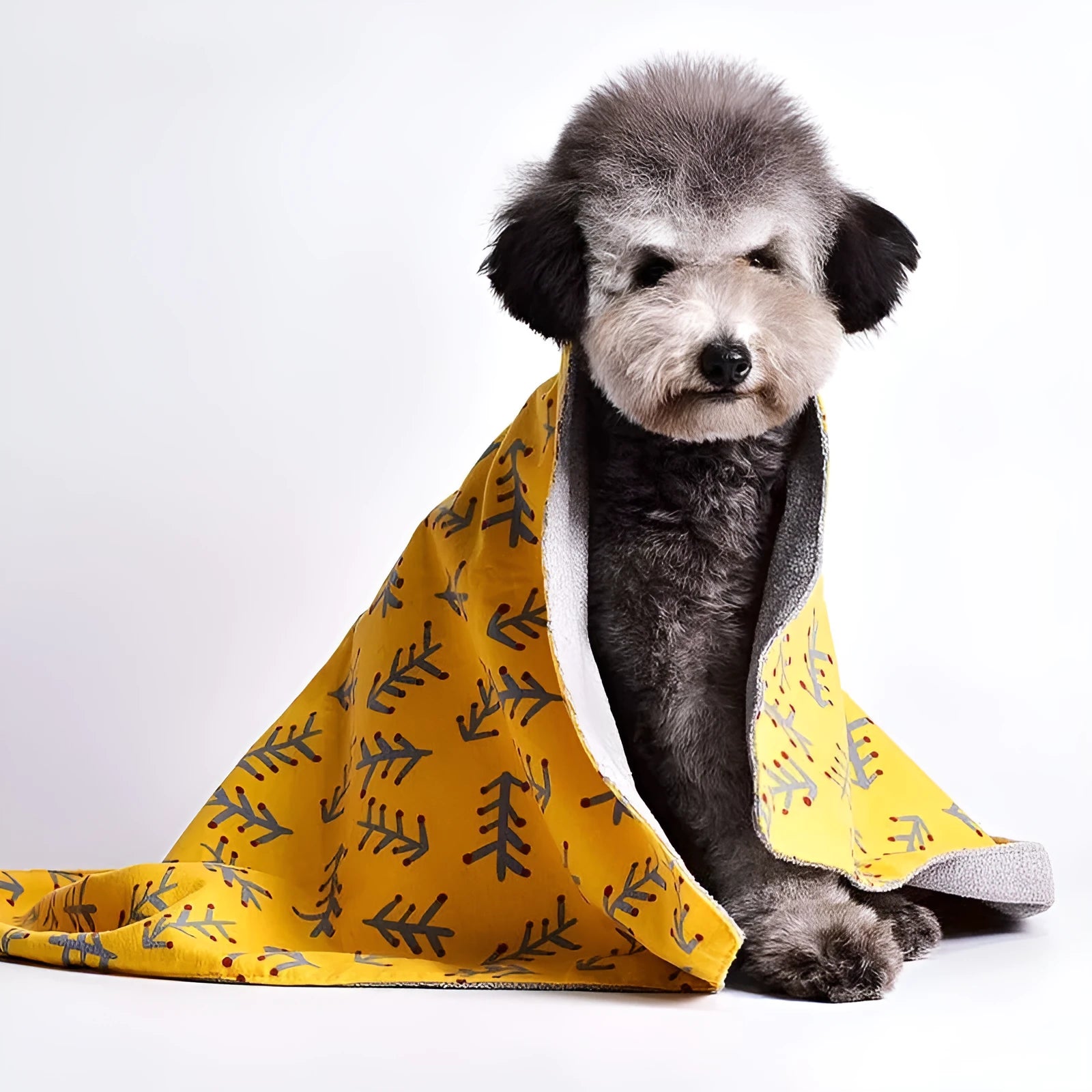 Colourful double-sided cotton velvet pet blanket with dinosaur and cartoon bear designs, shown in multiple sizes.