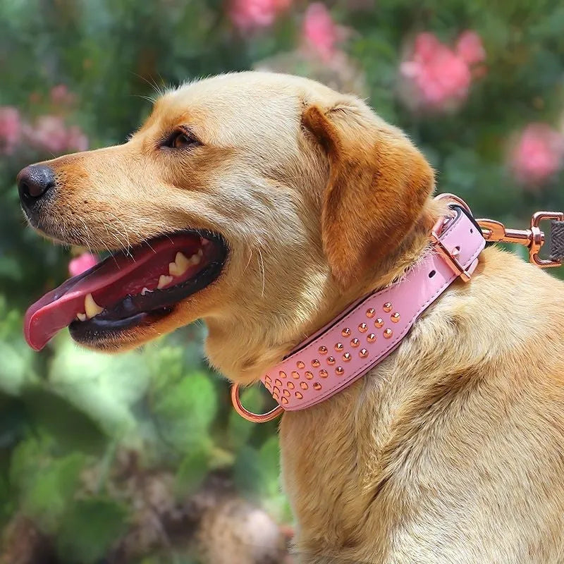 Leather dog collar with metal rivets, adjustable buckle, and D-ring in black, chocolate, or pink.