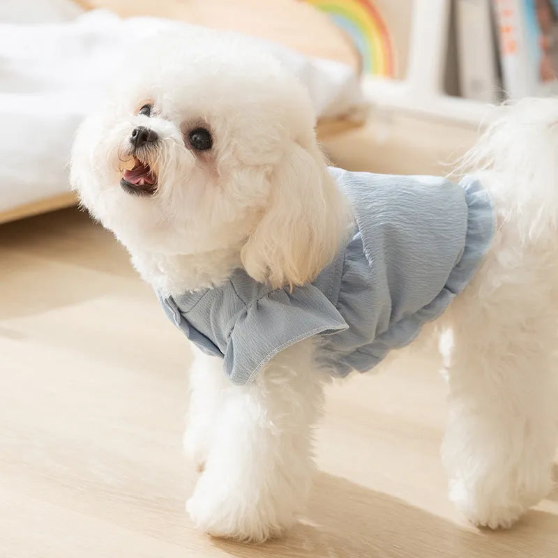 Solid colour polyester flying sleeve dress for small dog in Bondi Blue with cloth label