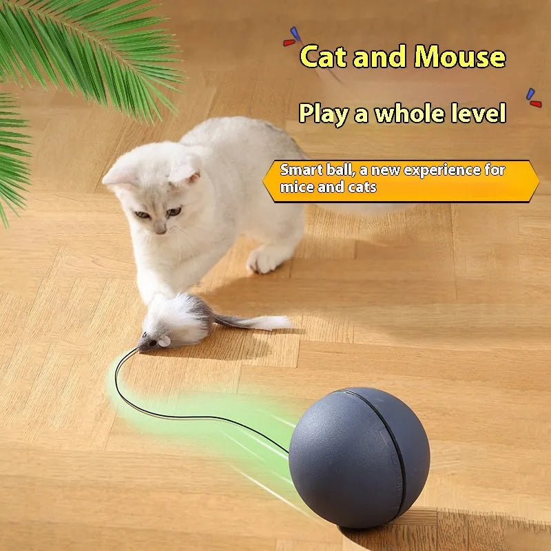 Automatic cat teasing ball with plush mouse in blue orange and dark grey colours