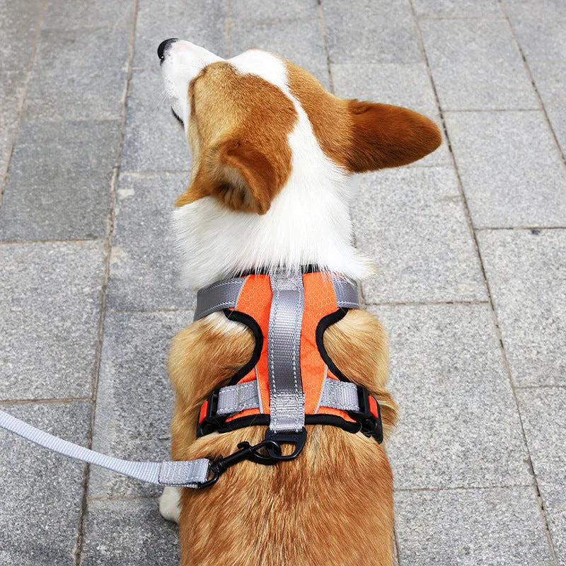 Adjustable polyester dog chest harness in various colours with optional hand holding rope