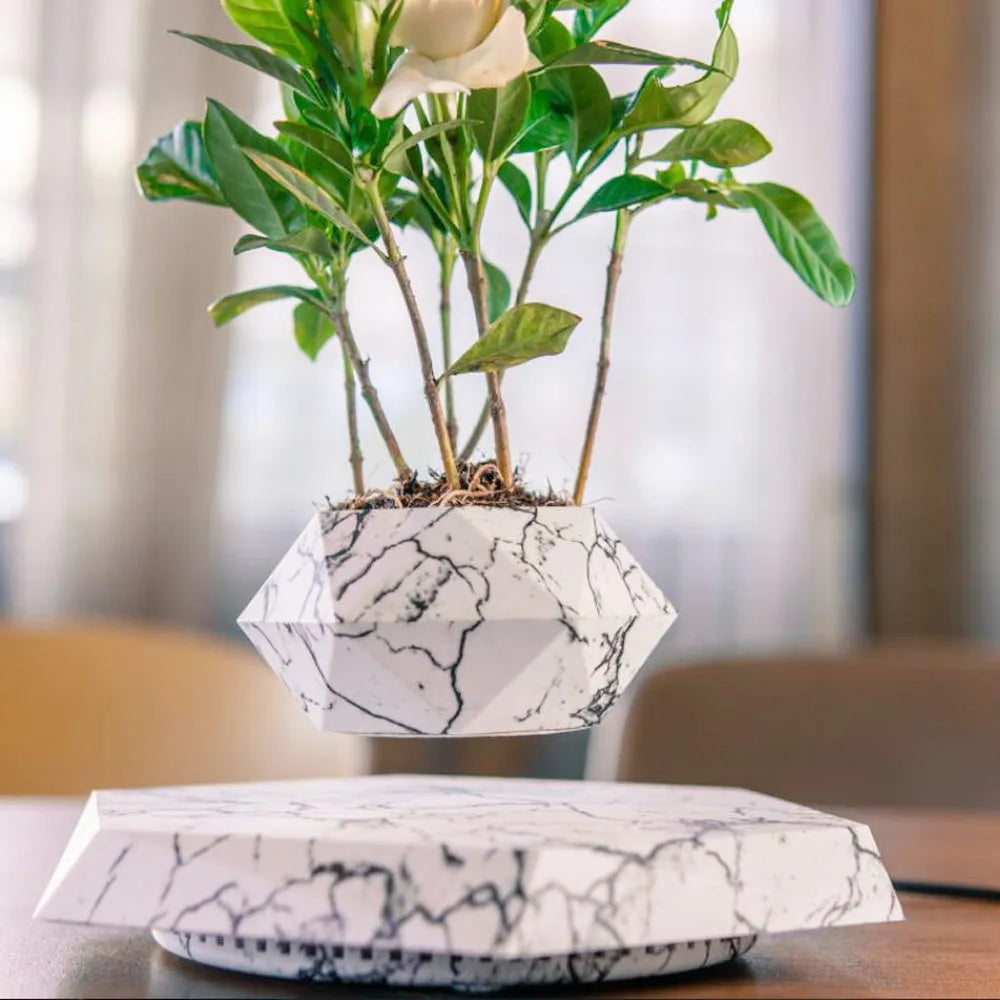 Floating magnetic levitating flower pot in wood grain finish with micro plant suspended 15mm above hexagonal base