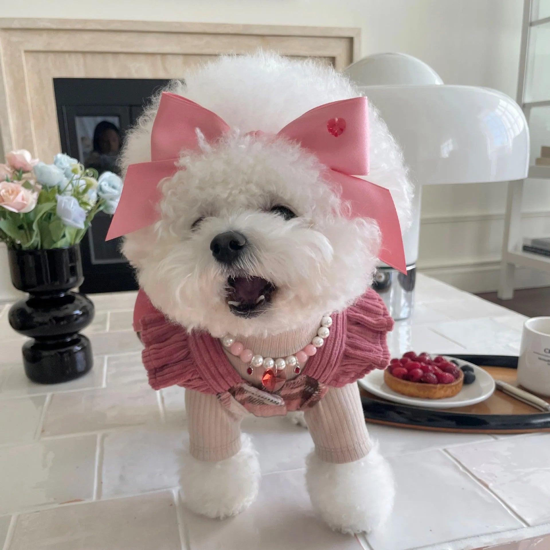 Princess style dog hair band with bow tension adjustment on small dog