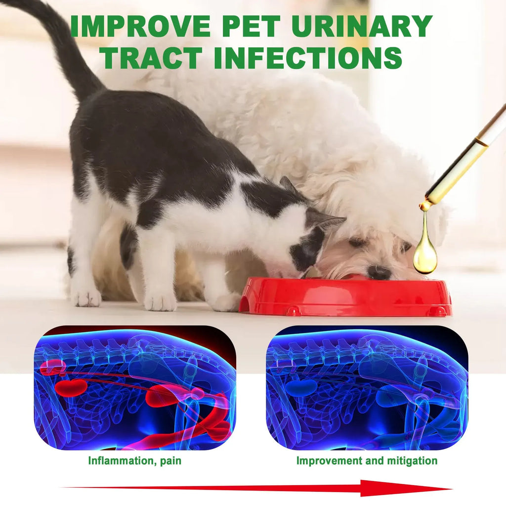 60ml pet pain relief liquid supplement bottle with natural ingredients for cats and dogs