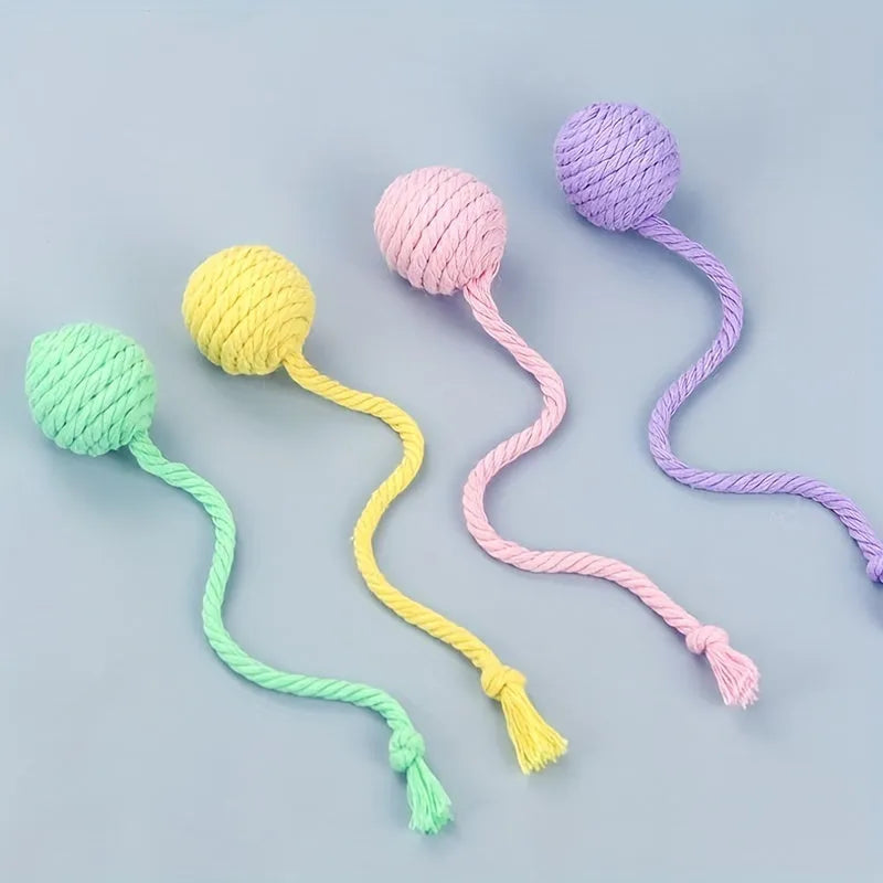 Interactive cat toy ball with rope and internal bell in green, pink, purple and yellow colours