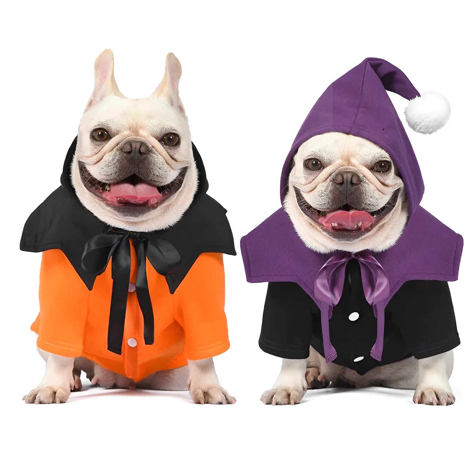 Black and orange Halloween pumpkin dog costume with sweater and shawl pieces
