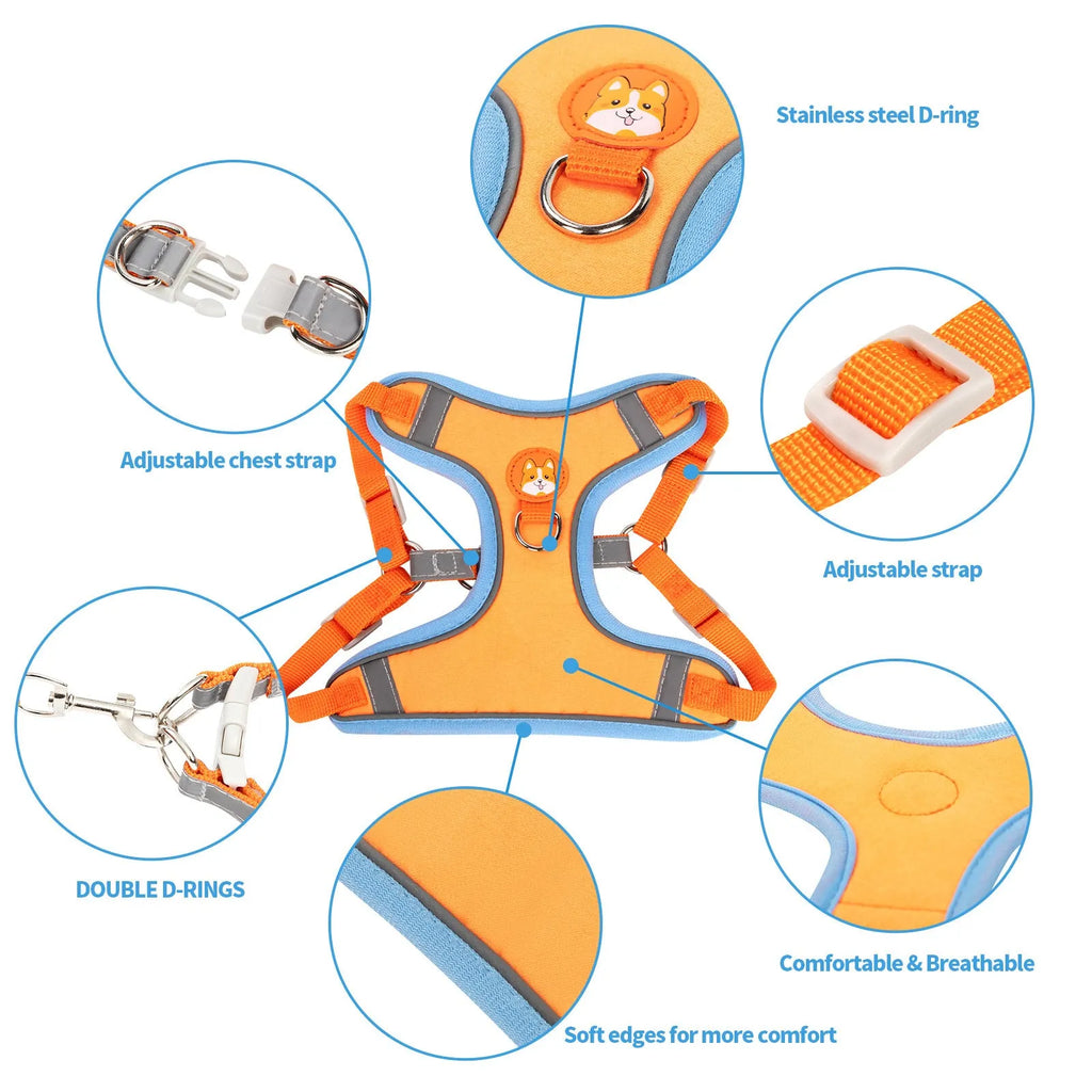Adjustable dog harness haulage rope package with chest strap in multiple colour options