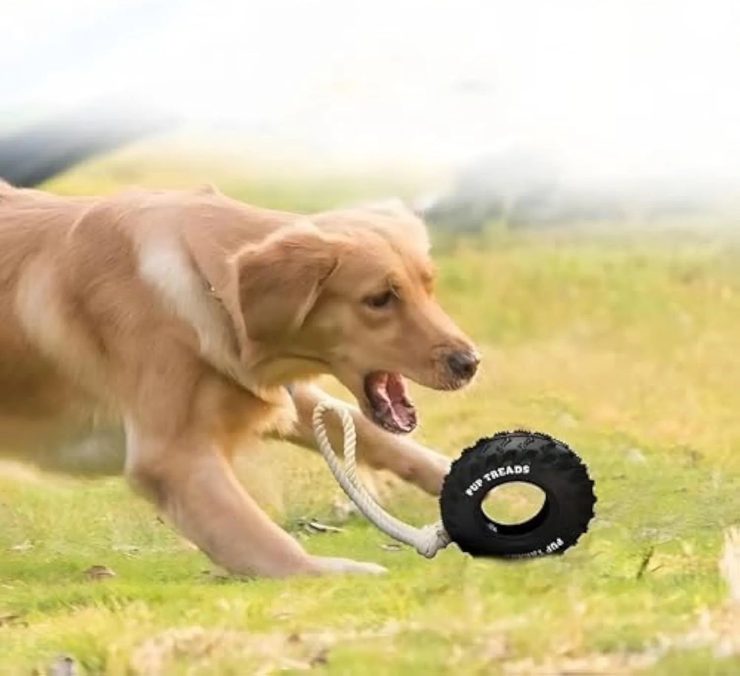 Tough natural rubber dog chew toy shaped like a tire with rope, black colour, for large dogs