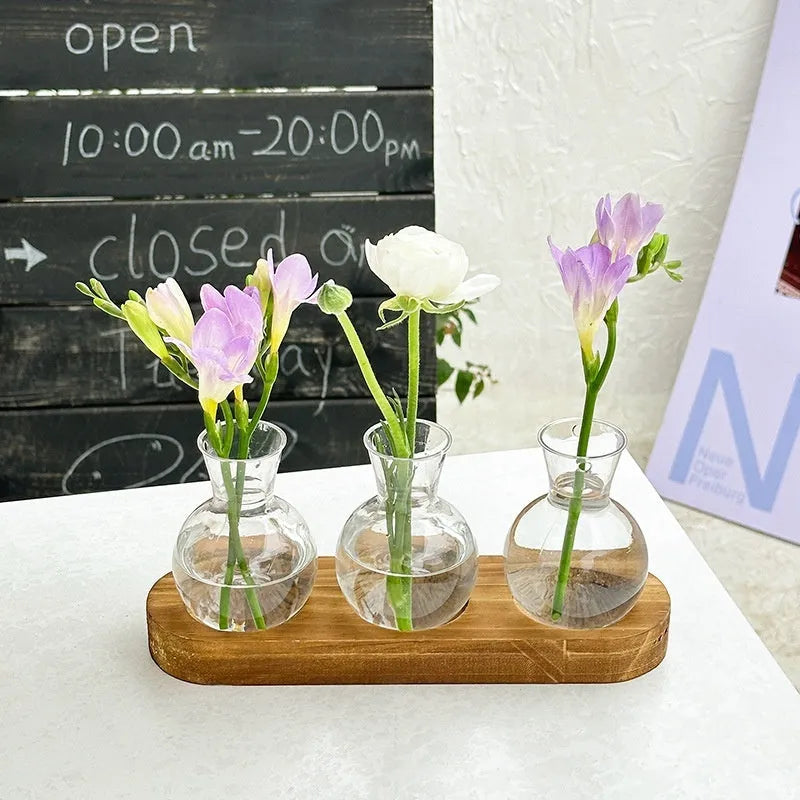 Transparent hydroponic vase in a wooden frame for modern plant display.