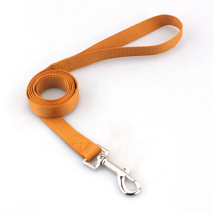 Solid colour polyester dog lead with hand-holding rope design shown in blue colour option