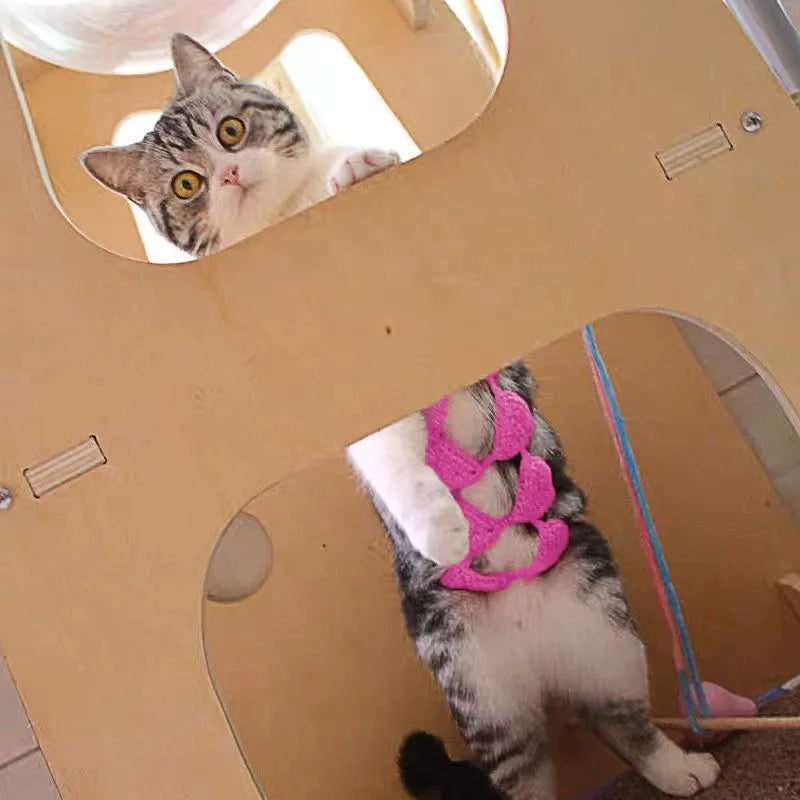 Cat wearing bikini costume in multiple colour options for festive dress-up
