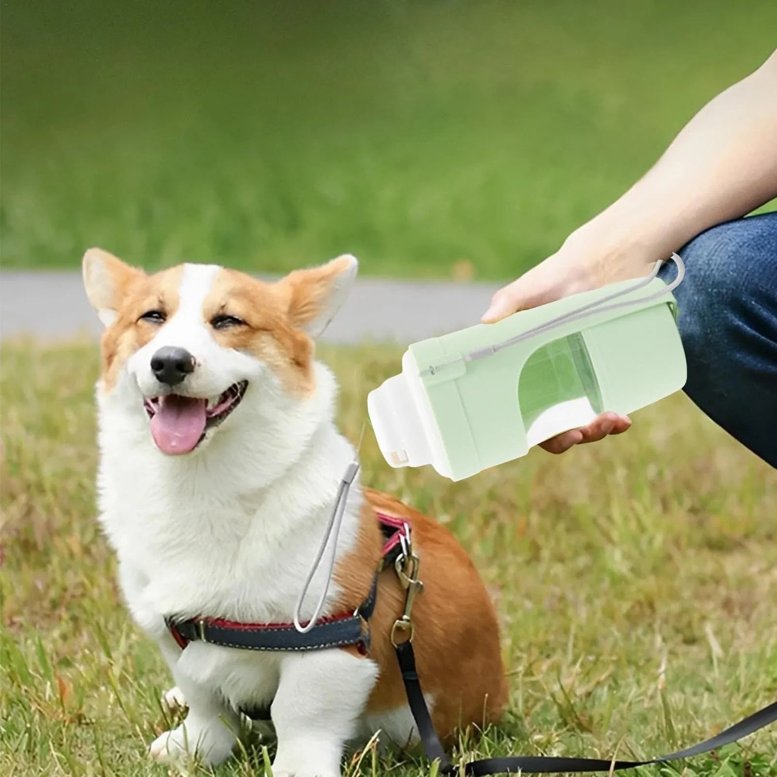 Green 2-in-1 travel dog water bottle and feeder with lanyard, folded to 20cm.
