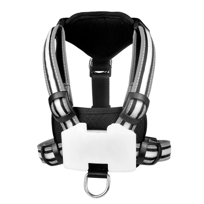 Nylon dog leash with seven-colour LED lights and USB charging cable for night-time walks