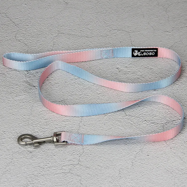 Nylon dog leash set with collar and harness in a pink and blue gradient colour.