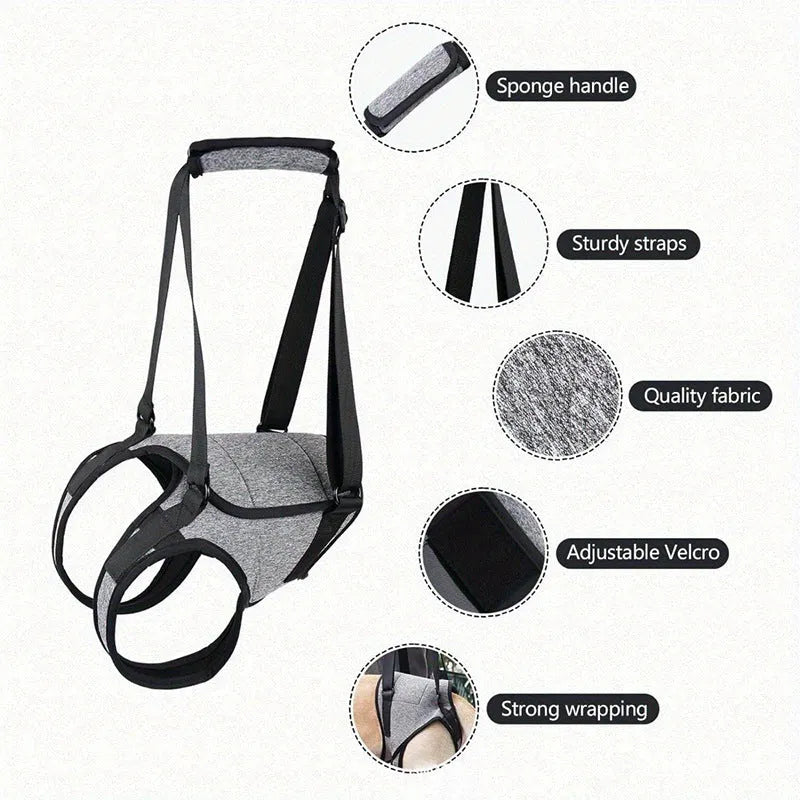 Grey neoprene dog rear leg recovery support belt wrapped around canine hindquarters