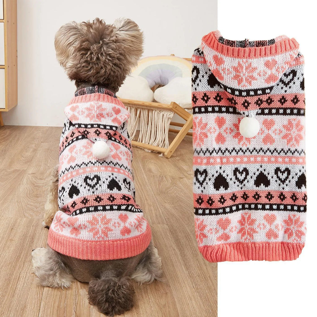 Pink striped camouflage knitted sweater on a small white Bichon Frise dog